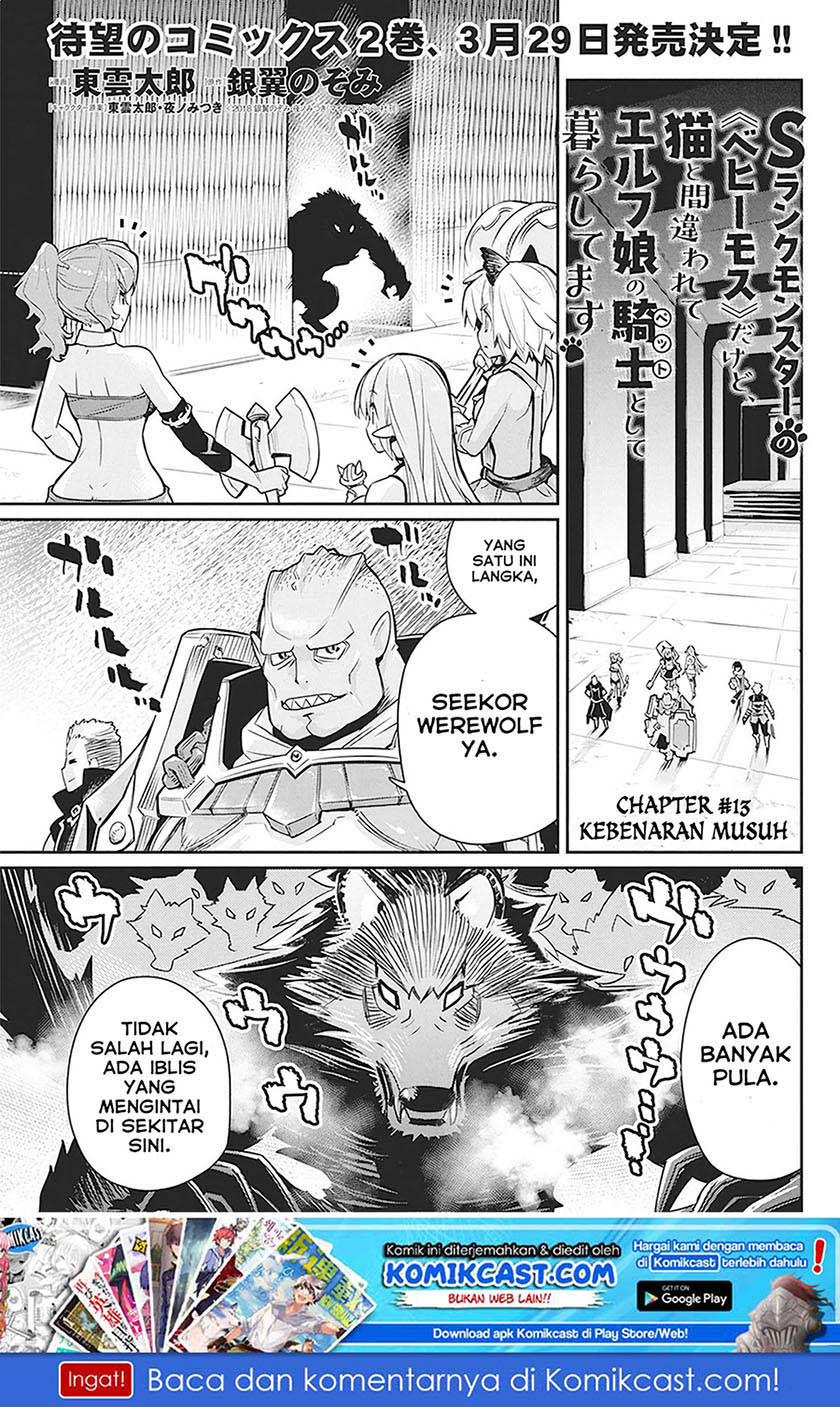S-Rank Monster no Behemoth Dakedo, Neko to Machigawarete Erufu Musume no Kishi (Pet) Toshite Kurashitemasu Chapter 13 Gambar 2